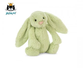 Jellycat 害羞邦尼兔 奇异果绿色(小号:18厘米) Jellycat 害羞邦尼兔 奇异果绿色(小号:18厘米)